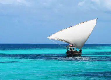 Safari privé en Tanzanie et découverte de Zanzibar