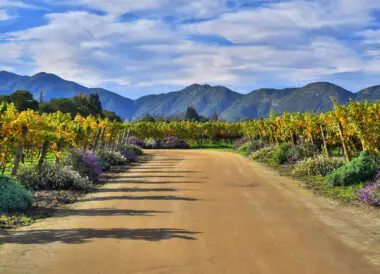 Le Chili entre vignes, désert et mystères