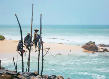 Les incontournables et farniente au Sri Lanka