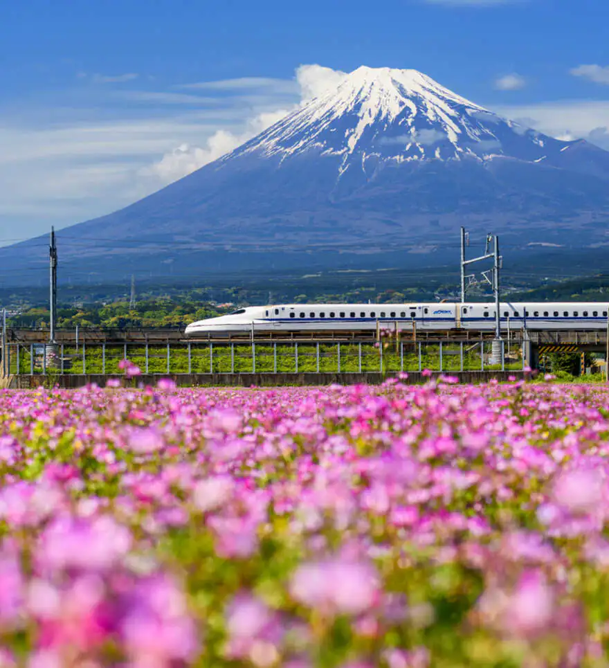 Une alternative écoresponsable au tourisme classique