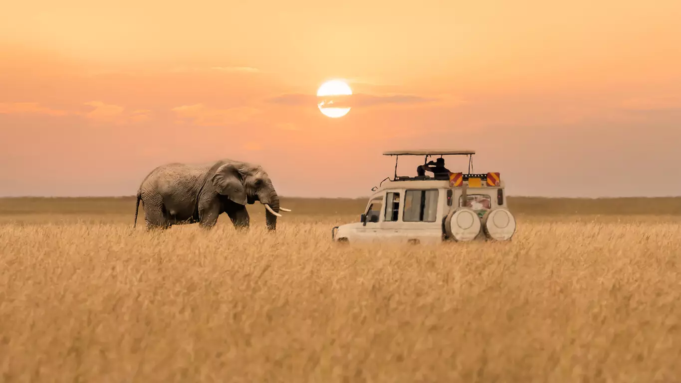 Safari dans les 4 grands parcs du Kenya et Océan Indien