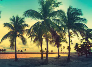 Séjour découverte de Miami