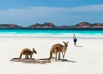 Soleil d’hiver : la Great Ocean Road et Kangaroo Island