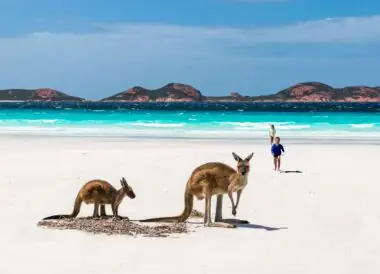 Soleil d’hiver : la Great Ocean Road et Kangaroo Island