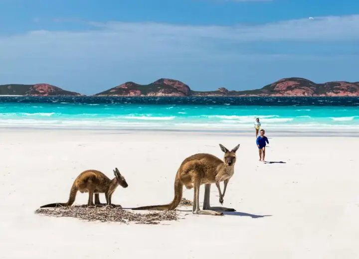 Soleil d’hiver : la Great Ocean Road et Kangaroo Island