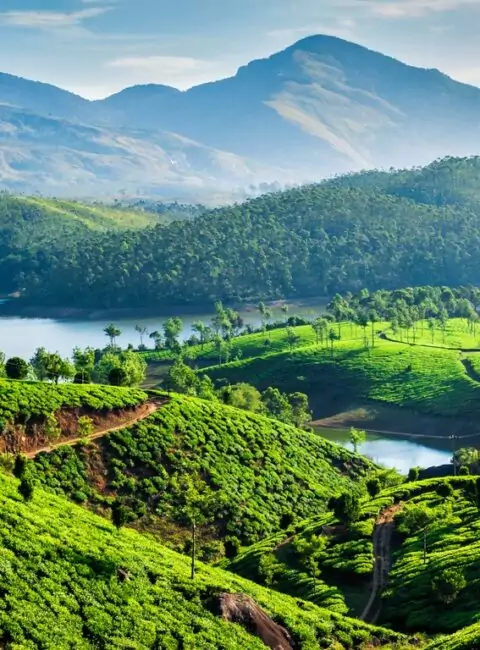 Kerala