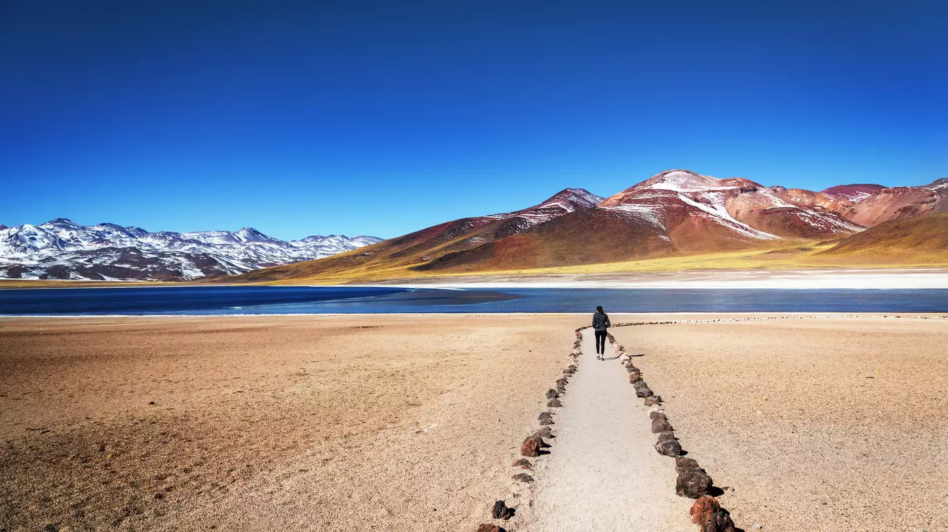 Voyage dans le Désert d'Atacama