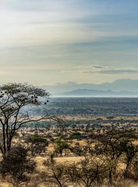 Kenya