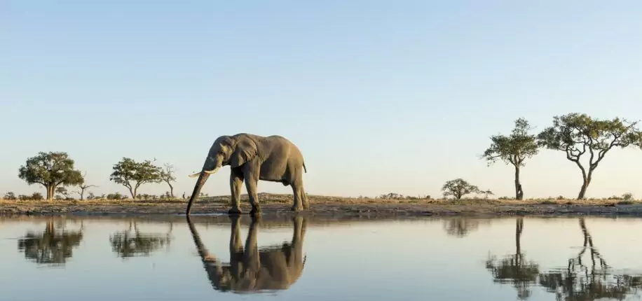 Parc de Chobe