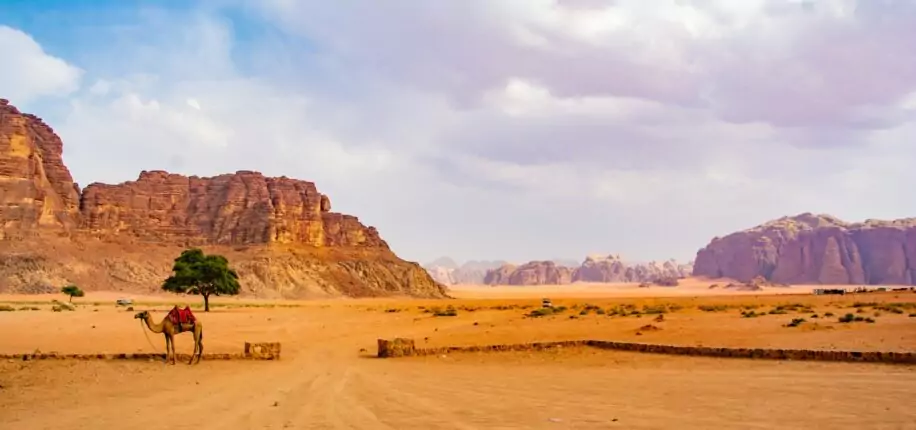 Désert du Wadi Rum