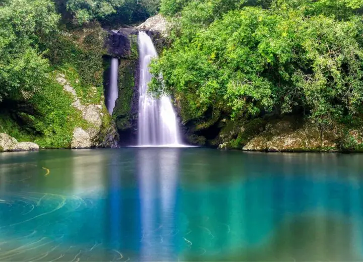 Découverte authentique de l’Ile de la Réunion en chambres d’hôtes