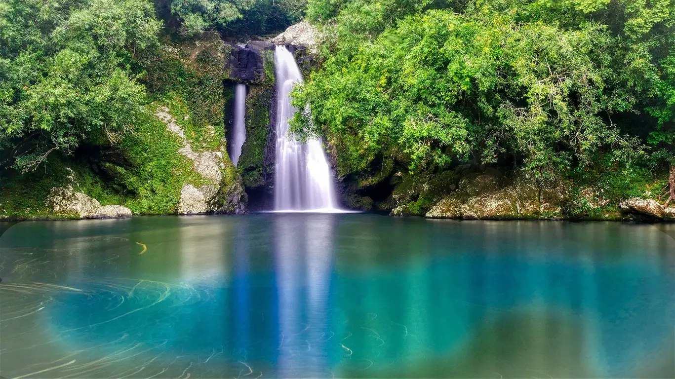 Découverte authentique de l’Ile de la Réunion en chambres d’hôtes