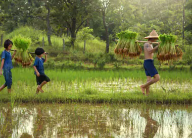 Les charmes de la Thaïlande jusqu’à Krabi