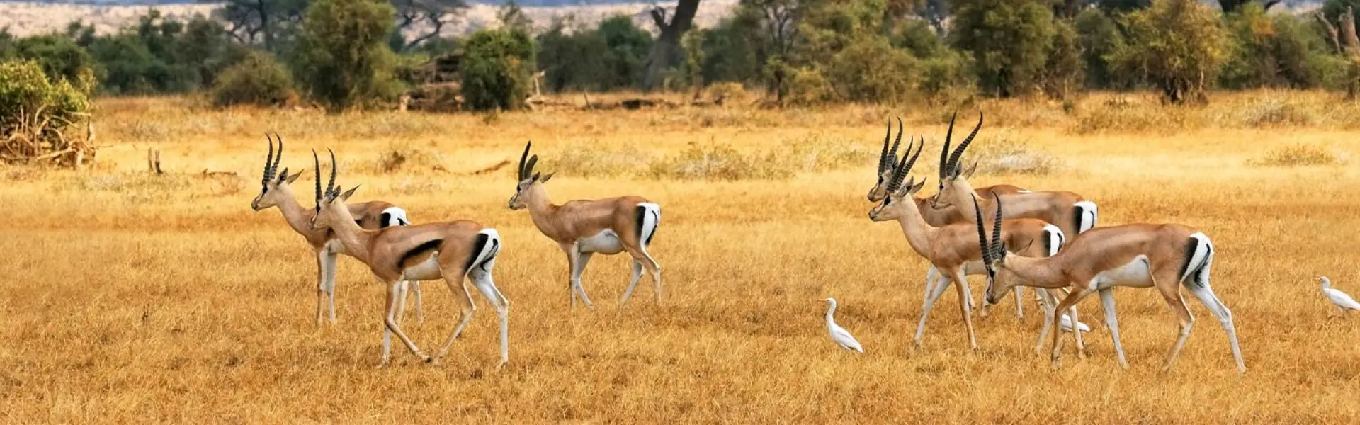 Voyage Afrique du Sud