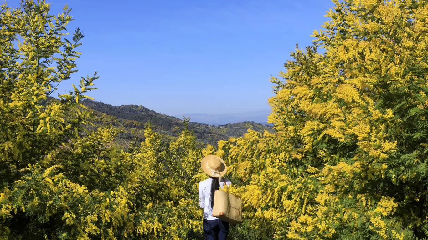 Terroir et patrimoine de la Côte d’Azur