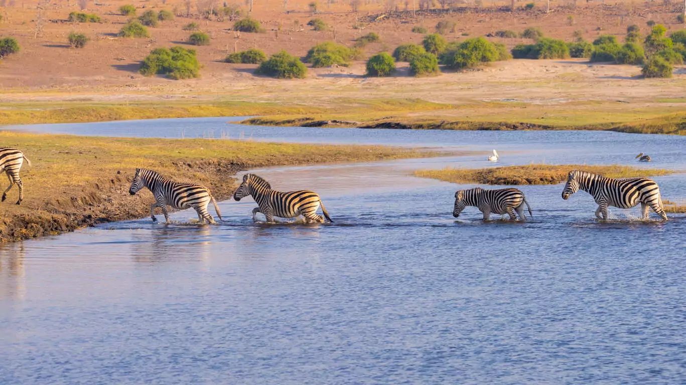 Safari privé au Botswana et Chutes Victoria