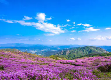 La Corée du Sud de Séoul à Jeju
