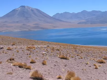 Circuit privé Chili : du désert d'Atacama a la Patagonie