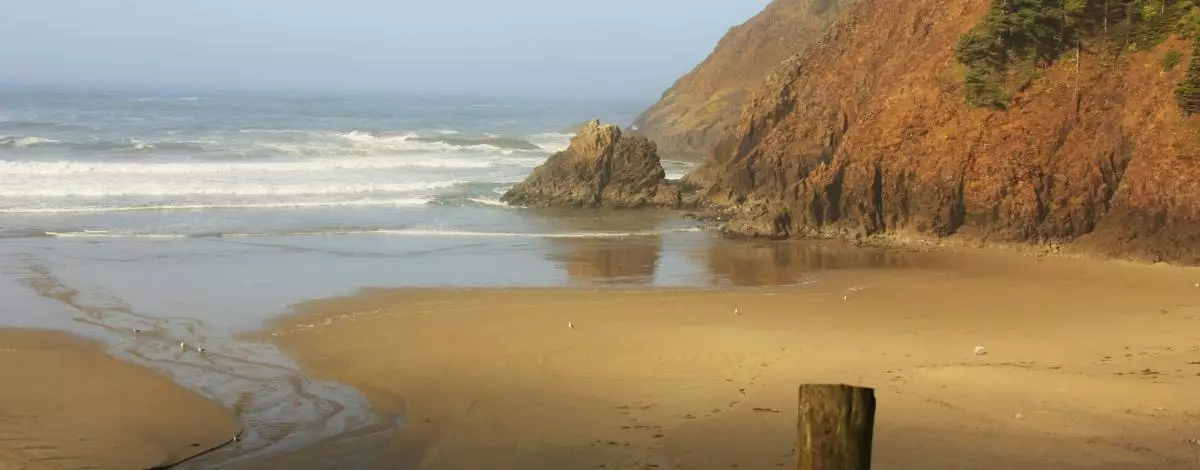 La côte Pacifique de Seattle à San Francisco : Ecotourisme et Gastronomie