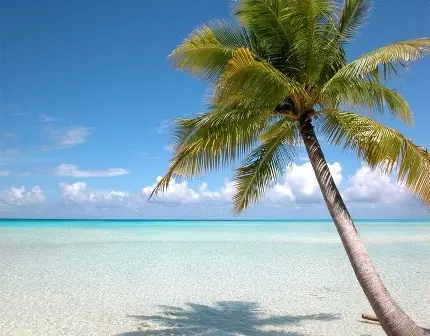 Séjour Cat Island et Harbour Island : sable rose et sable blanc