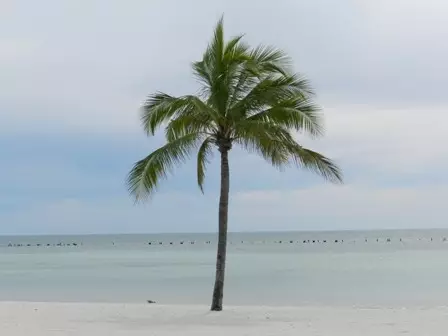 Autotour en Floride – Miami, Keys et Orlando