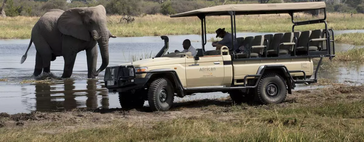 Safari au Botswana en camping version luxe et Chutes Victoria