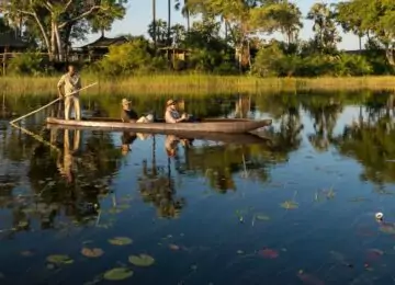 Safari au Botswana et Chutes Victoria : Chobe, Moremi et Delta de L’Okavango
