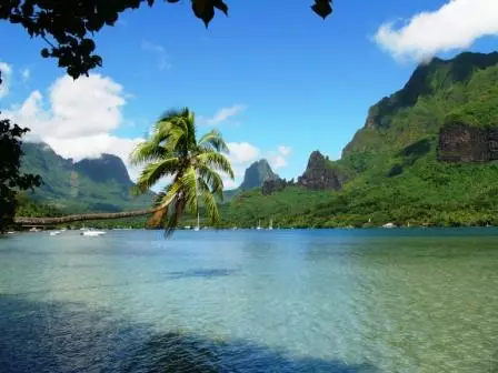 Robinsonnade polynésienne : Tahiti Moorea et Tahaa