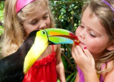 Le Costa Rica avec vos enfants, accompagné par guide francophone