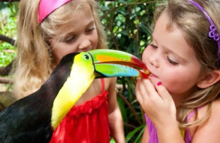 Le Costa Rica avec vos enfants, accompagné par guide francophone