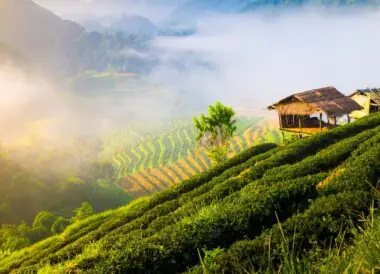 Randonnées et rencontre avec les minorités ethniques de Thaïlande