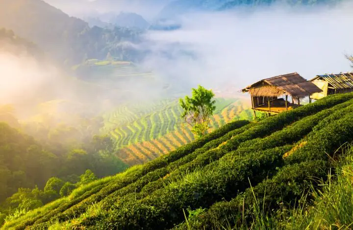 Randonnées et rencontre avec les minorités ethniques de Thaïlande