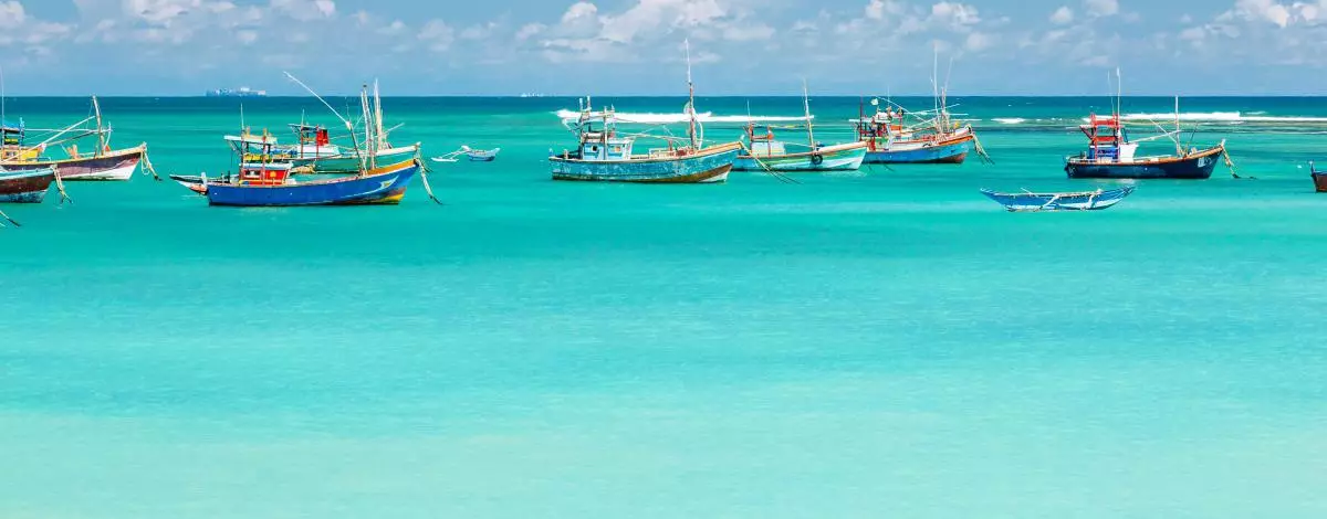 Voyage de noces : combiné Sri Lanka et Maldives