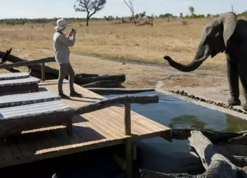 Voyage au Zimbabwe: Chutes Victoria & Safaris à Hwange et Mana Pools