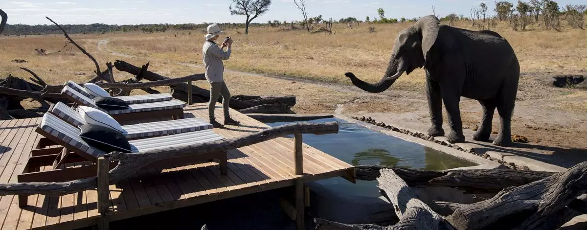 Voyage au Zimbabwe: Chutes Victoria & Safaris à Hwange et Mana Pools