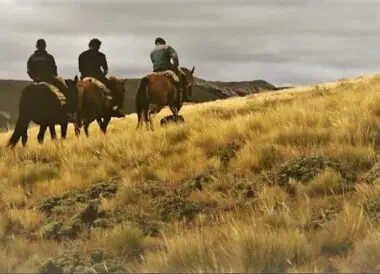 Argentine authentique : estancias et gauchos