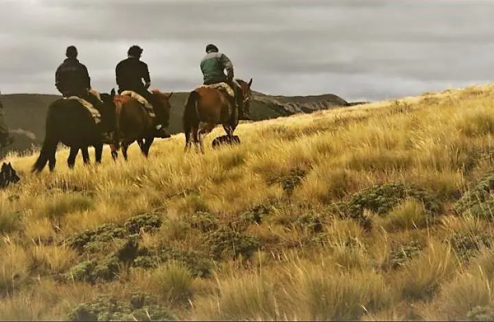 Argentine authentique : estancias et gauchos