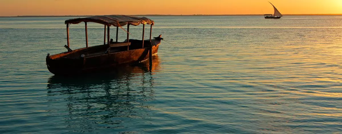 Escapade safari en Tanzanie et plages de Zanzibar