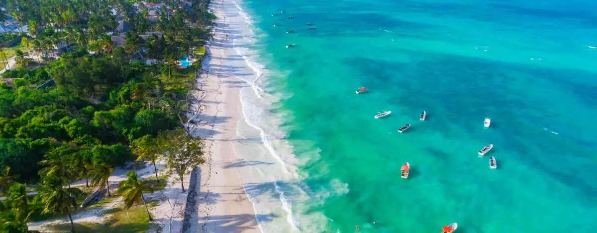 Safari au Kenya et plage à Zanzibar