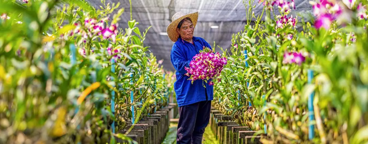 La Thaïlande en petit groupe du Nord au Sud
