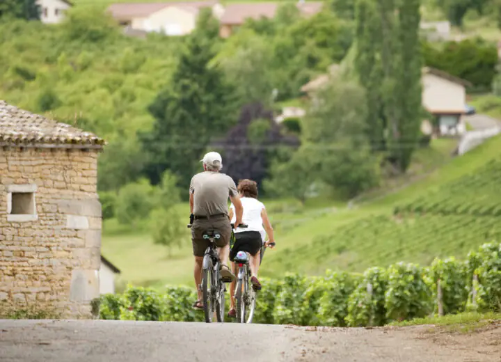 Immersion guidée en Bourgogne et à vélo