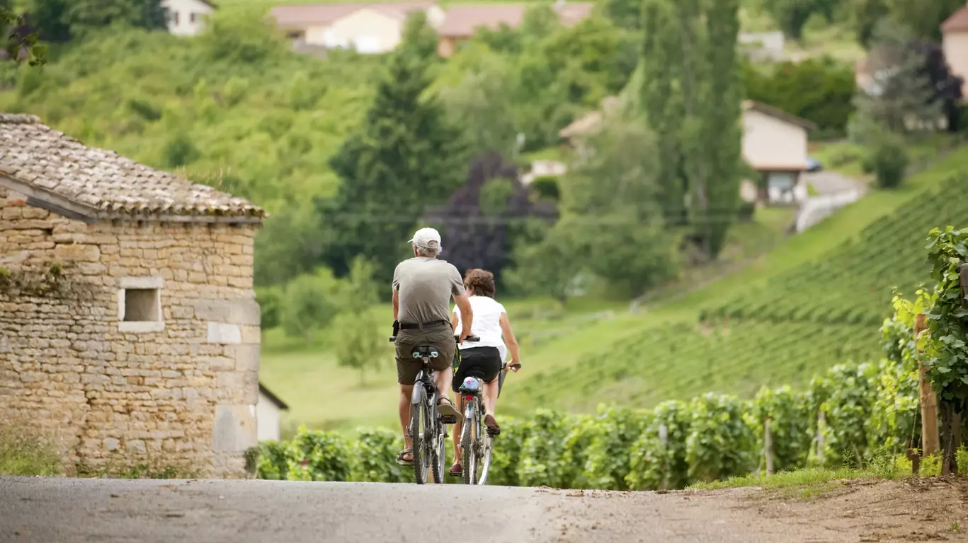 Immersion guidée en Bourgogne et à vélo