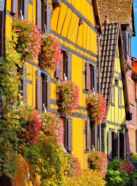 Alsace