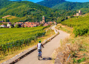 Immersion sur la Route des Vins d’Alsace