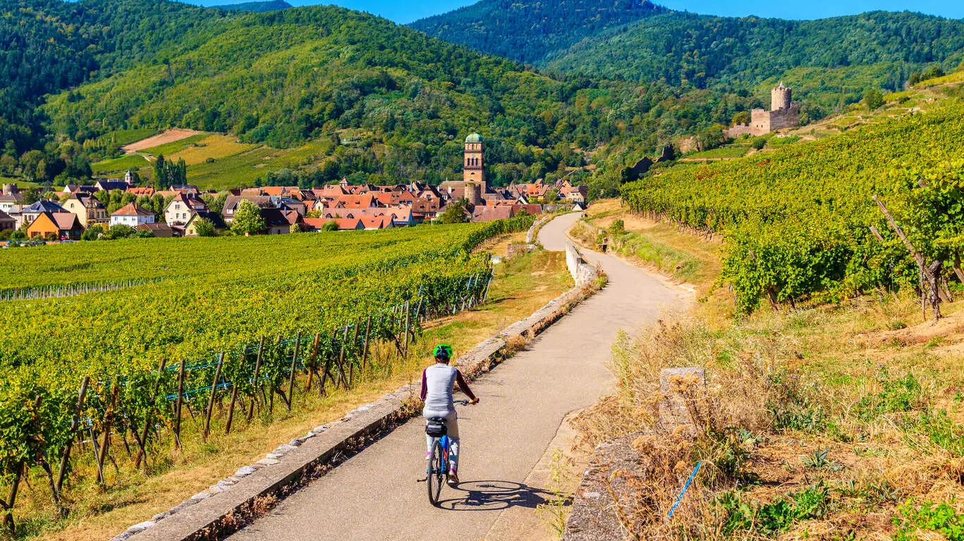 Immersion sur la Route des Vins d'Alsace