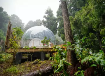 La Réunion en version insolite