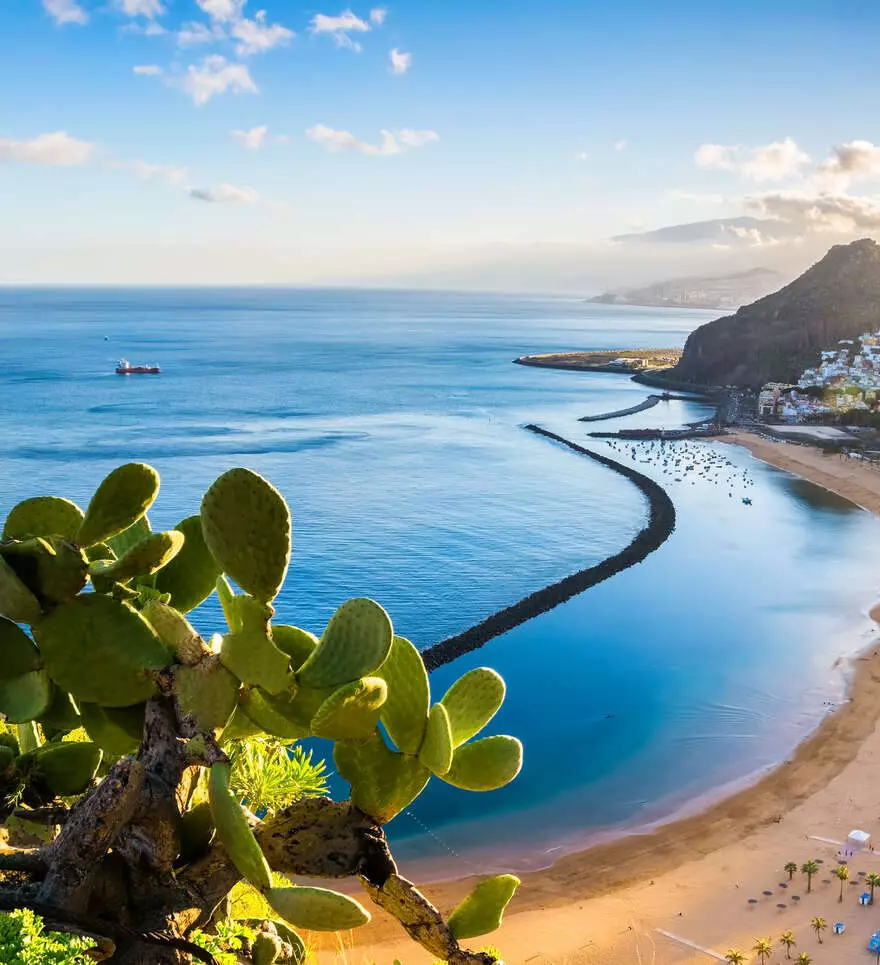 Pourquoi voyager avec Cercle des Voyages à Tenerife ?