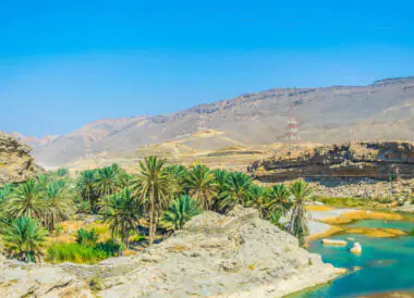 Beautés naturelles des Emirats en glamping