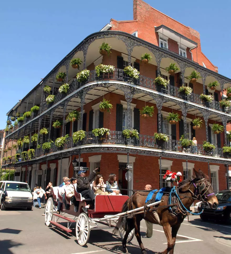 Voyage avec guide francophone en Louisiane