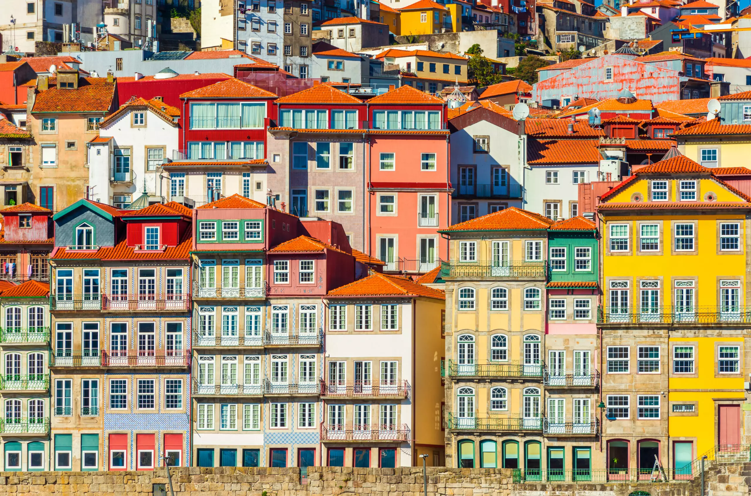 Cap vers le Nord portuguais : entre Obidos, Porto, et Aveiro 